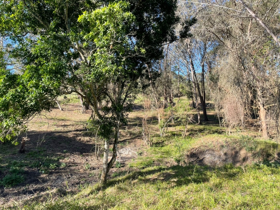 0 Bedroom Property for Sale in Bathurst Eastern Cape